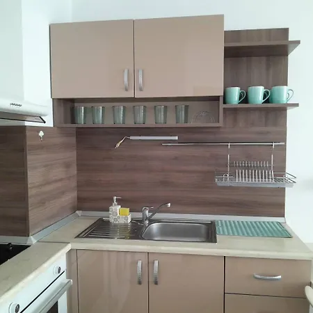 Zhelezovi Apartment *