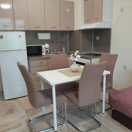 Zhelezovi Apartment *