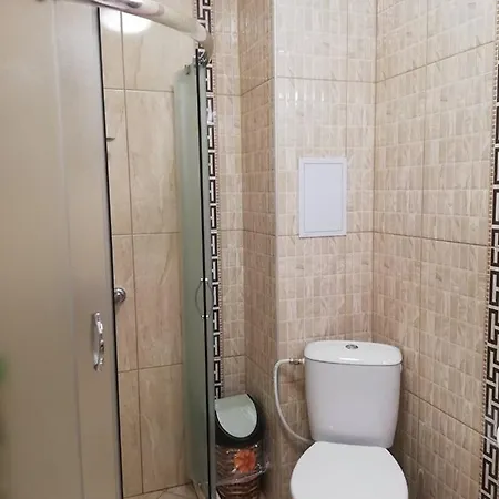 Zhelezovi